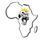 MEEDEEY D-GRATE's profile picture