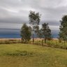 Milton 🇦🇷⭐⭐⭐ profil fotoğrafı