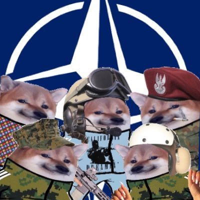 North Atlantic Fella Organization's profile picture