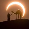 Profilbild von أبو سارة |1408