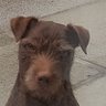 Stuart Bridge's profile picture