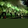 seba B.'s profile picture