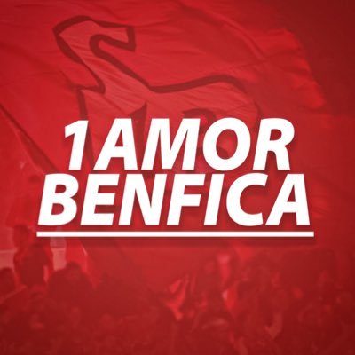 Primeiro Amor Benfica's profile picture