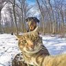 amin med profil fotoğrafı