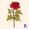 shabnam ateeq 的头像
