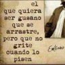 alvaro henriquez's profile picture