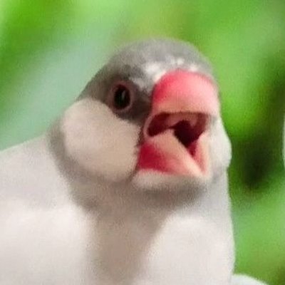 gris.'s profile picture