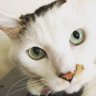 Profilbild von りお
