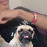 tyga4u profil fotoğrafı