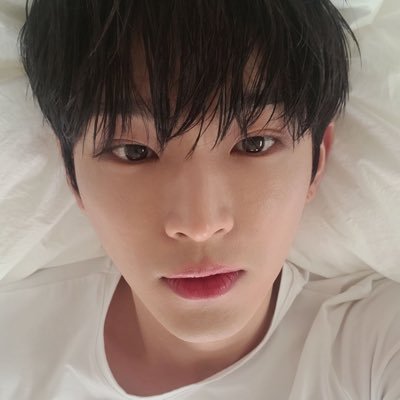 bibi's profile picture