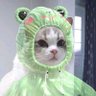 Garasi Outfit's profile picture