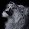 جــزراوي ❤️ profil fotoğrafı