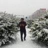 दिपक बस्याल 的头像