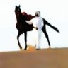 فارس لجواد's profile picture