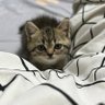 Beer➿smiley's profile picture