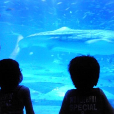 kaoru3104's profile picture