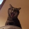 たん profil fotoğrafı