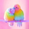 Profilbild von نور الصباح