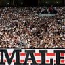 Shika profil fotoğrafı
