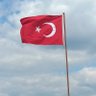 Фото профиля Yalnız kurt