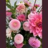 PetalsinPink🌸💐 的头像