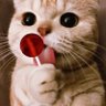 Daiana Romina's profile picture