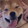 Spica's profile picture