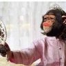 Profilbild von Mona Lisi 💚 Falsa Mona Chilena 🐒