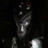 Feral Ulfhednar's profile picture