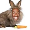 Eddie Möhrvieh's profile picture