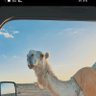 فهد's profile picture