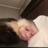 Martins โ๏ธ๐ณ's profile picture