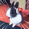 Mooky Bun's profile picture