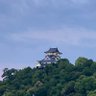 Фото профиля めんたこあ