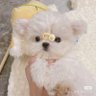 Esther's profile picture
