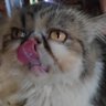 sumacak profil fotoğrafı