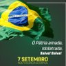 Profilbild von Marcelo Junior Monteiro
