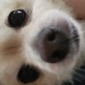 Profilbild von CherryPicker