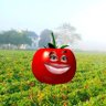 Profilbild von Susu Kurma