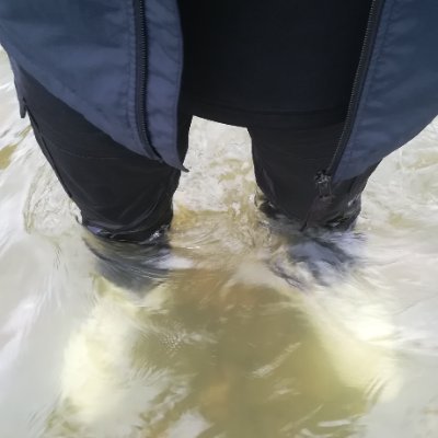Mike Pisser's profile picture
