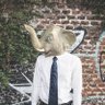 Profilbild von Elephant Civics