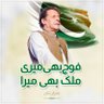 Muhammad Faiz Ul Hassan's profile picture