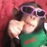Profilbild von Jonatan.