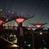 Akun Ngacapruk 的头像