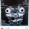 Aimeekins82's profile picture