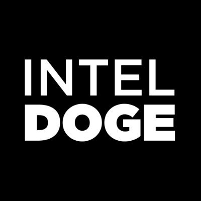 IntelDoge's profile picture