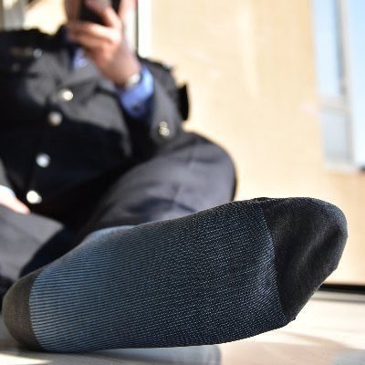 番茄打卤面's profile picture