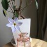 Фото профиля おじりぱ
