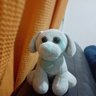 Profilbild von dale perri