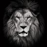 Tshepo's profile picture